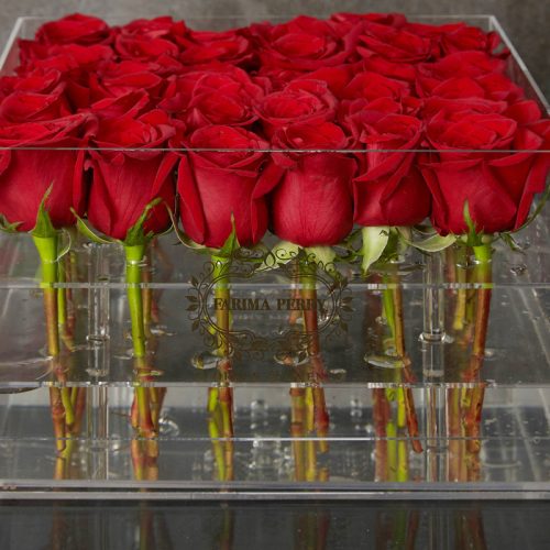 36 fresh roses in Large Rose Acrylic Square Box
