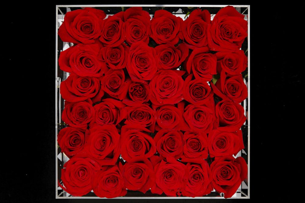36 fresh roses in Large Acrylic Clear Square Box