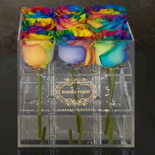 9 fresh rainbow roses in Small Acrylic Clear Square Box