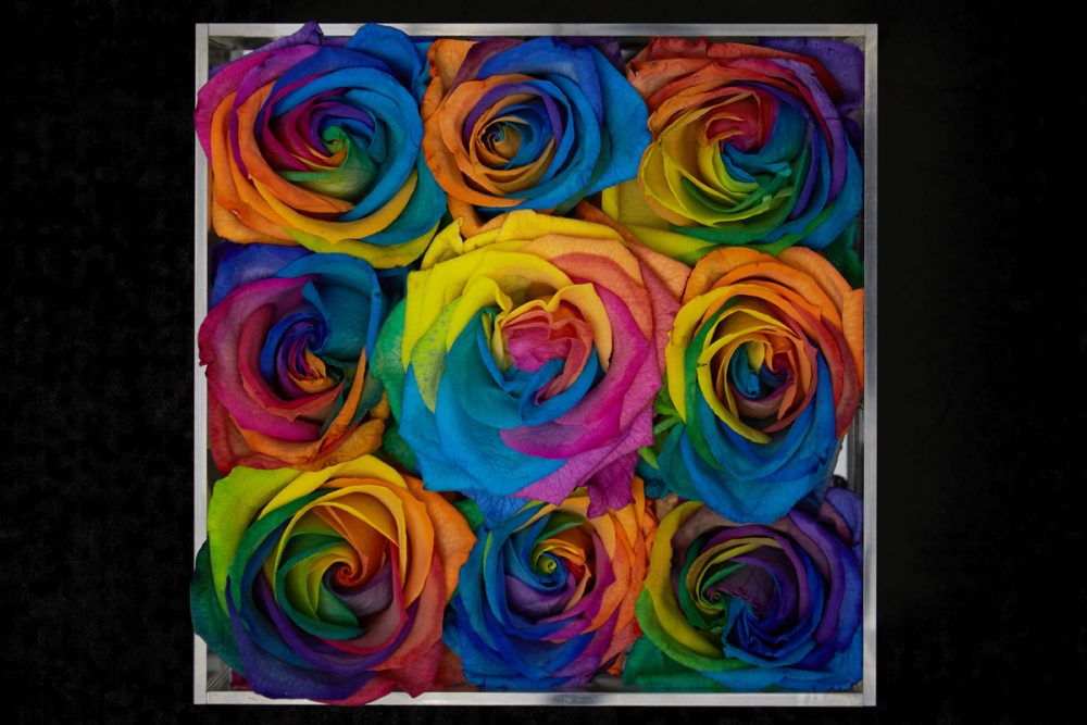 9 fresh rainbow roses in Small Acrylic Clear Square Box