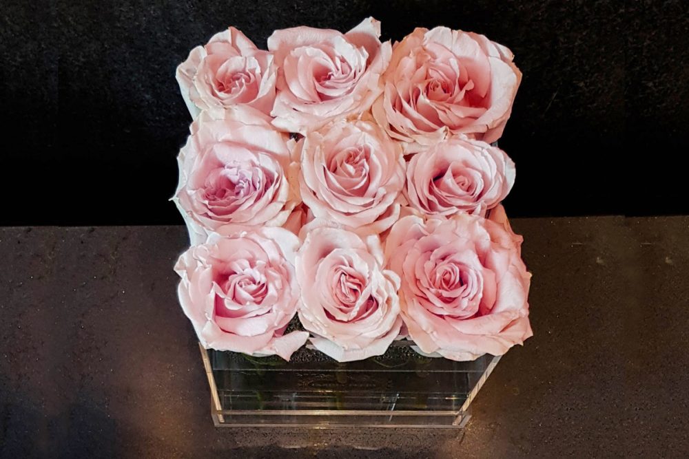 9 fresh pink roses in Small Acrylic Clear Square Box